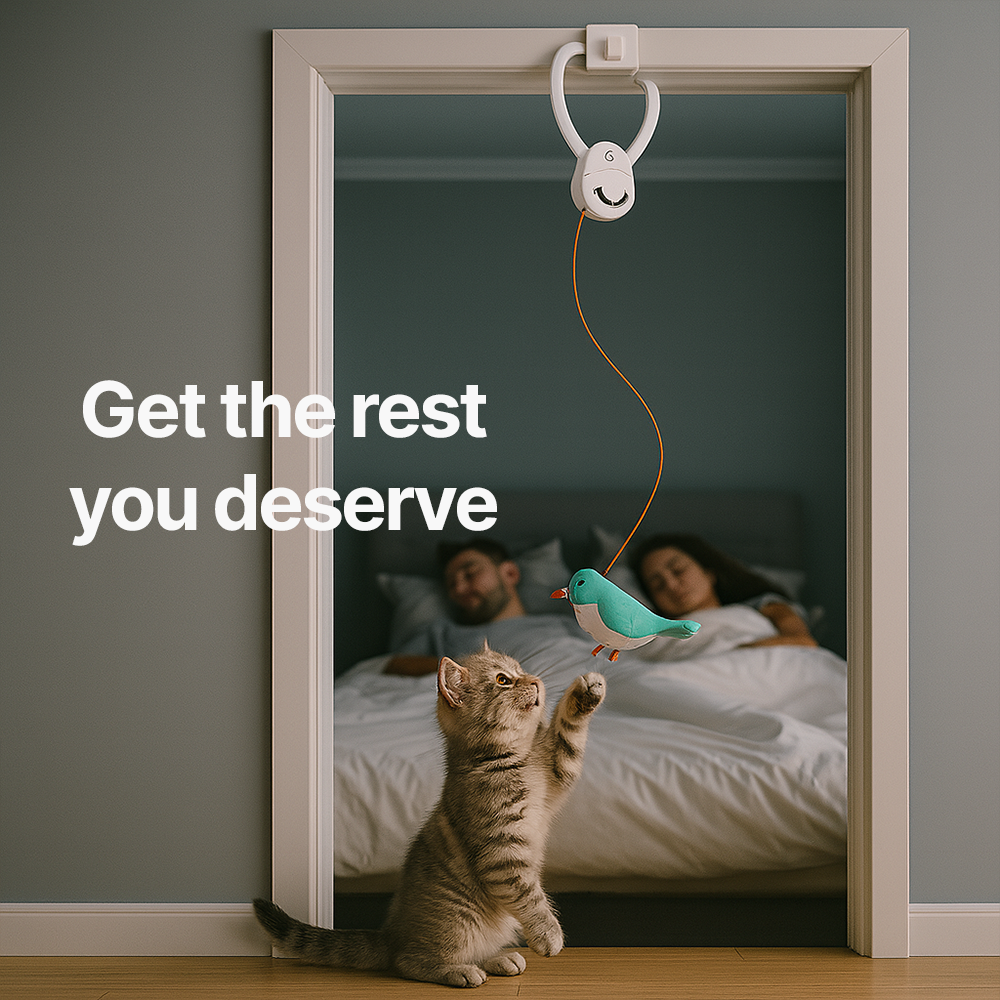 Solve Your Cat's Boredom in Seconds