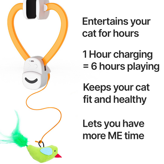Solve Your Cat's Boredom in Seconds